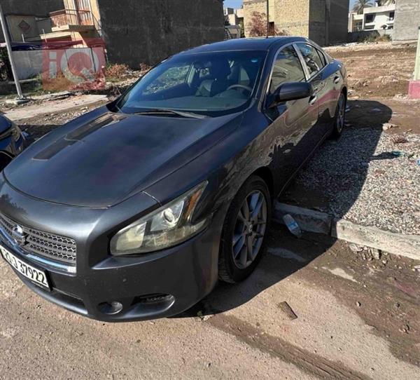 Nissan for sale in Iraq